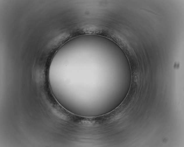 X0000094420690200711151320