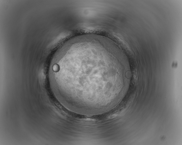 X0000094420691200711151320