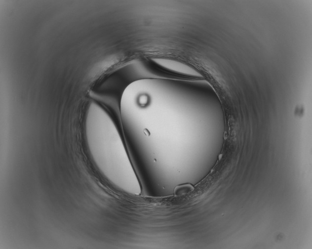 X0000094420692200711151320