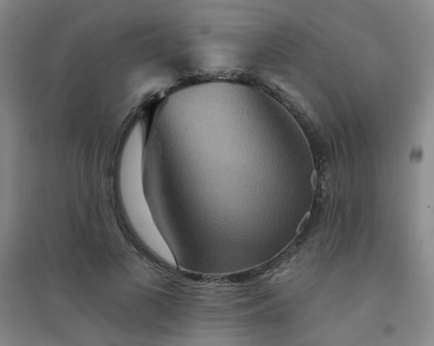 X0000094420693200711151320