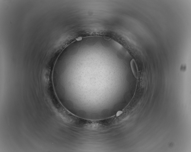 X0000094420695200711151320