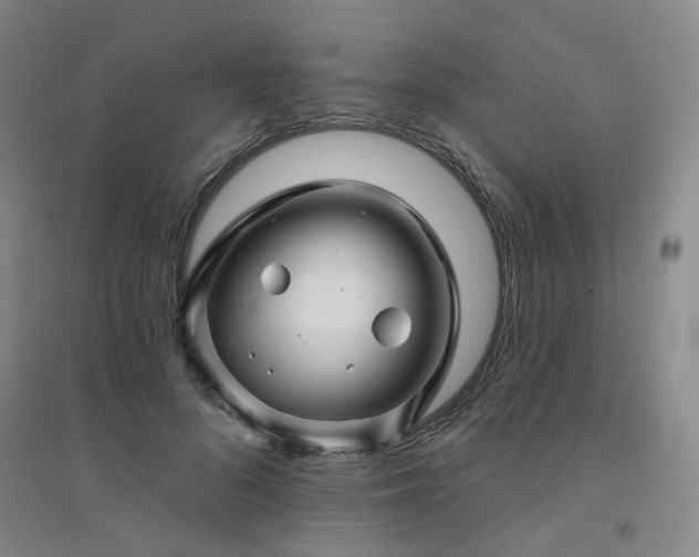 X0000094420696200711151320
