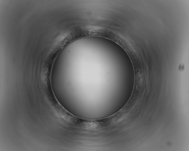X0000094420698200711151320