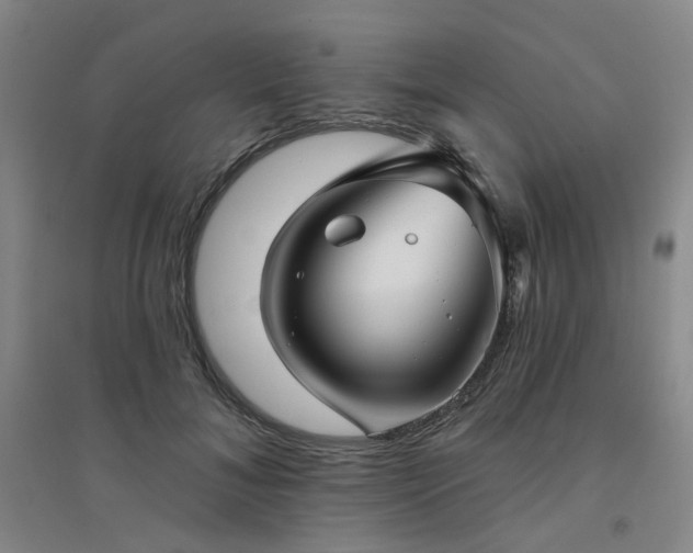 X0000094420700200711151320