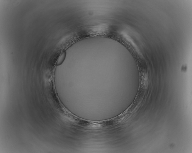 X0000094420701200711151320