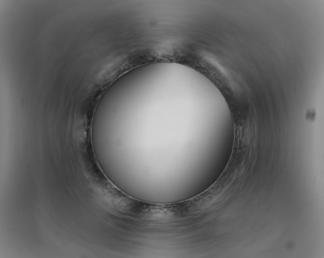 X0000094420702200711151320
