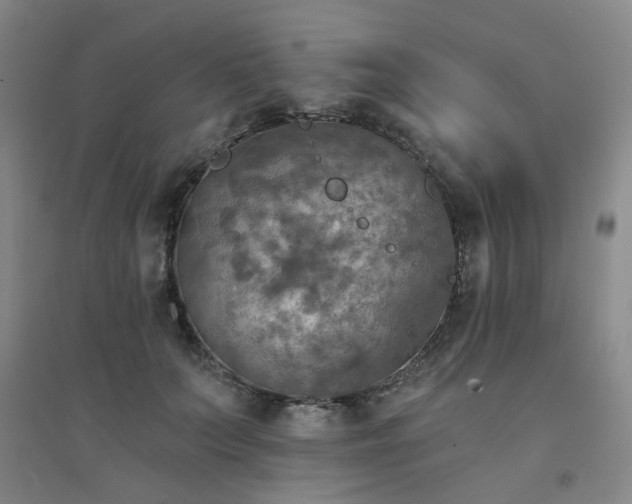 X0000094420703200711151320