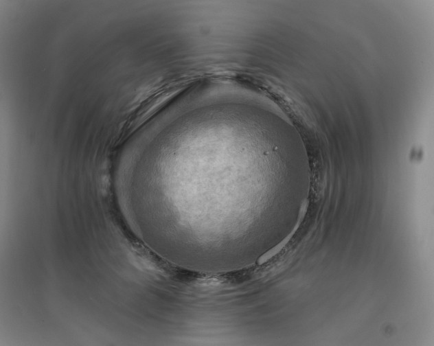 X0000094420704200711151320