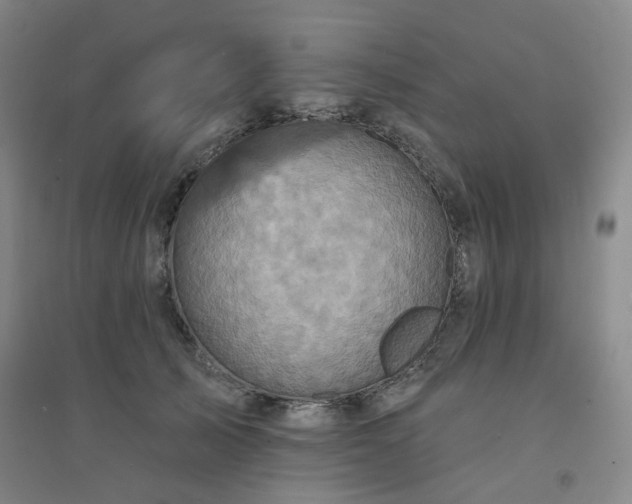 X0000094420705200711151320