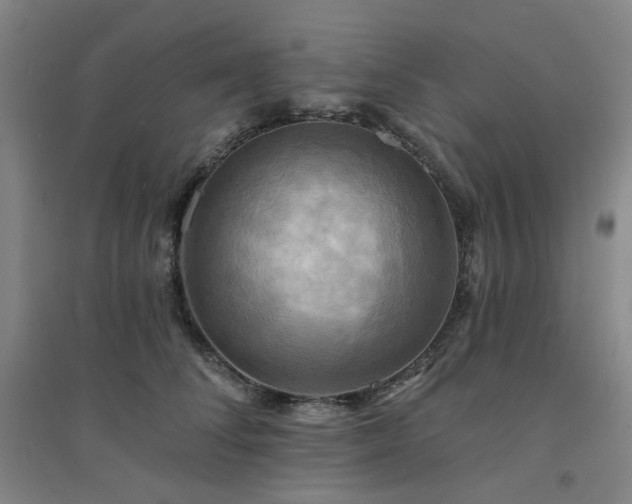 X0000094420708200711151320