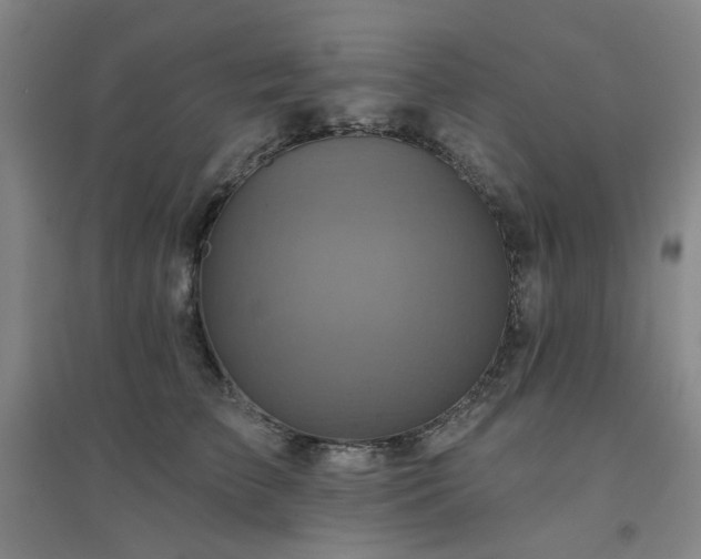 X0000094420709200711151320