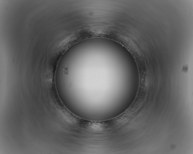 X0000094420710200711151320