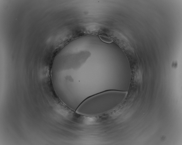 X0000094420711200711151320