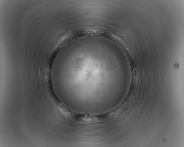 X0000094420712200711151320