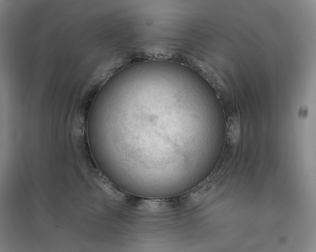 X0000094420713200711151320