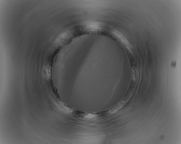 X0000094420718200711151320