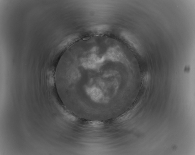 X0000094420719200711151320