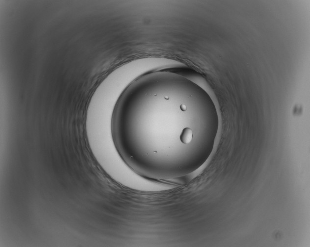 X0000094420720200711151320