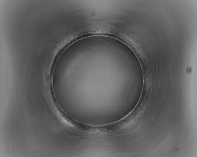X0000094420721200711151319