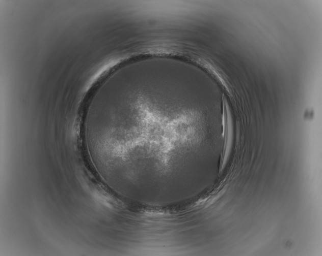 X0000094420723200711151319