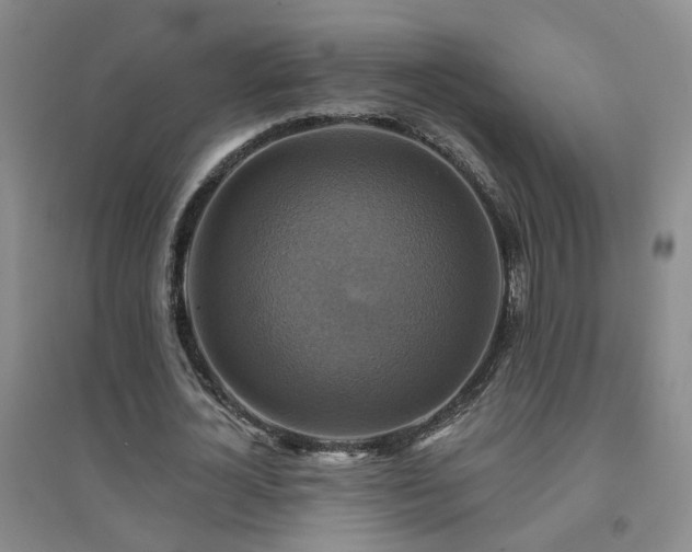 X0000094420724200711151319