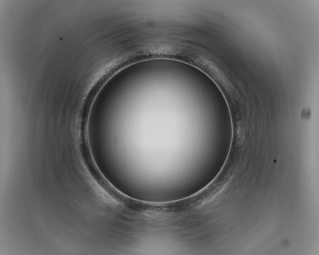 X0000094420725200711151319