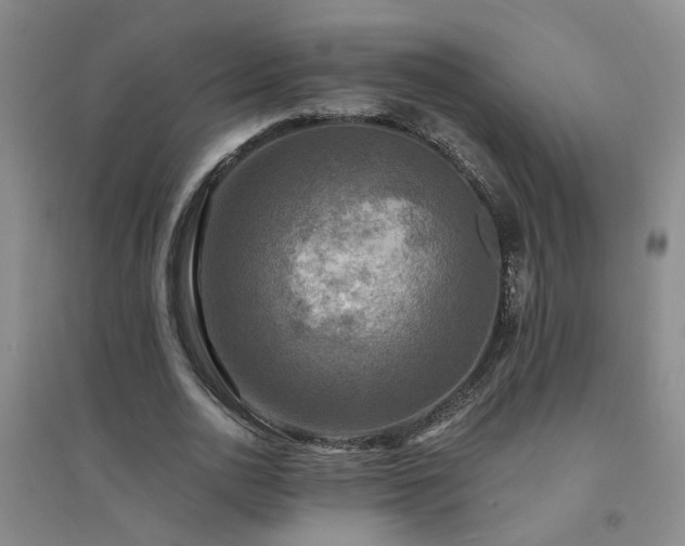 X0000094420726200711151319