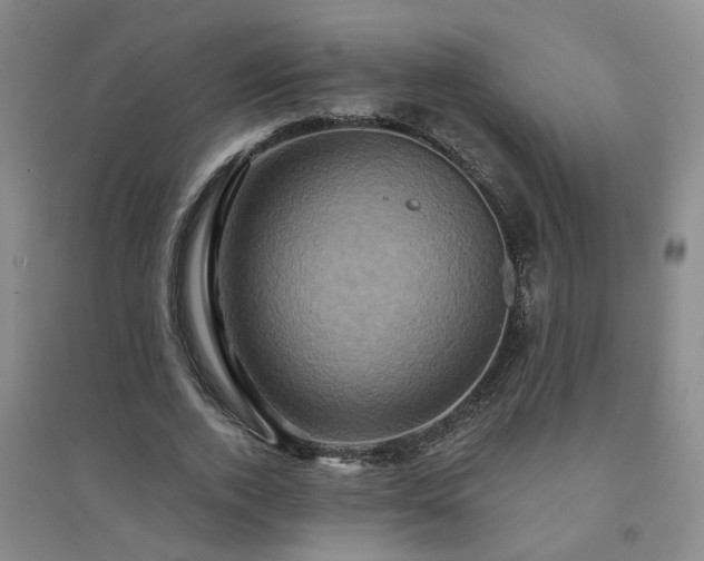 X0000094420728200711151319