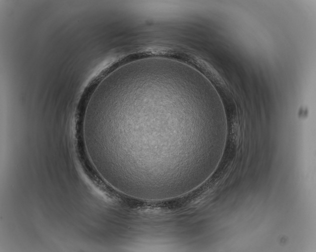 X0000094420730200711151319