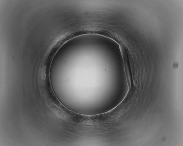 X0000094420731200711151320