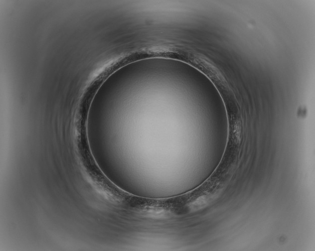 X0000094420732200711151320