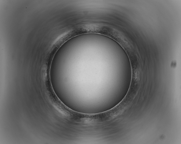 X0000094420733200711151320