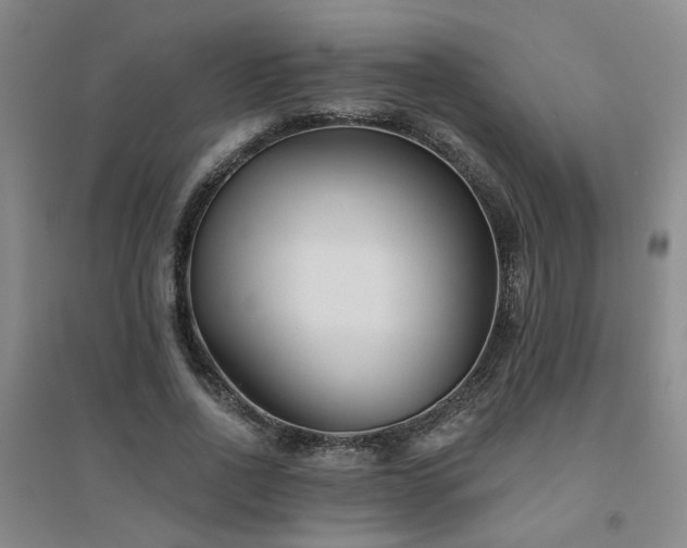 X0000094420734200711151320