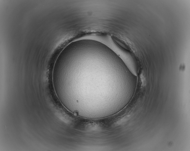 X0000094420735200711151320