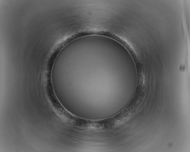 X0000094420736200711151320