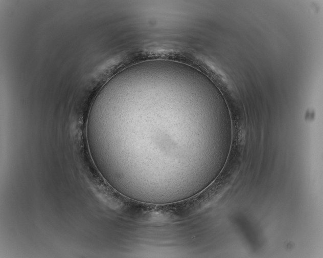 X0000094420737200711151320