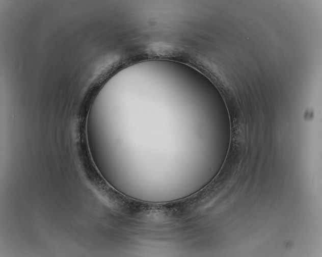 X0000094420738200711151320