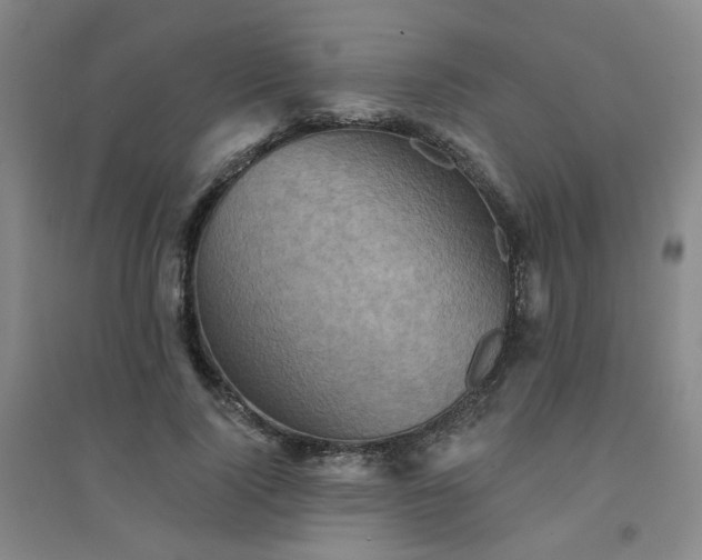 X0000094420740200711151320