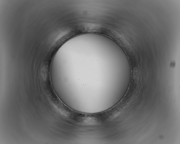 X0000094420741200711151320