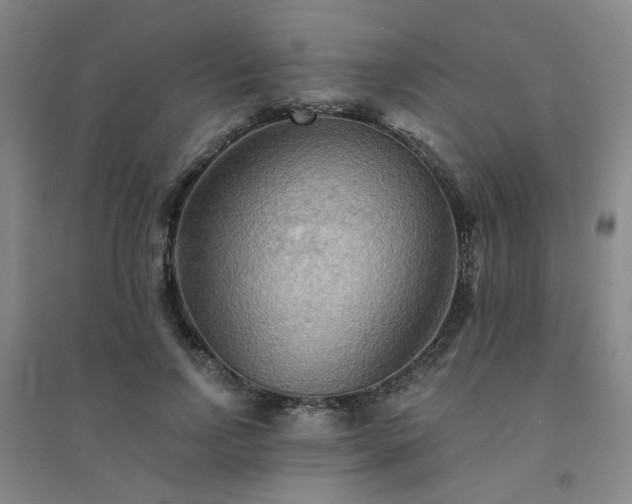 X0000094420742200711151320