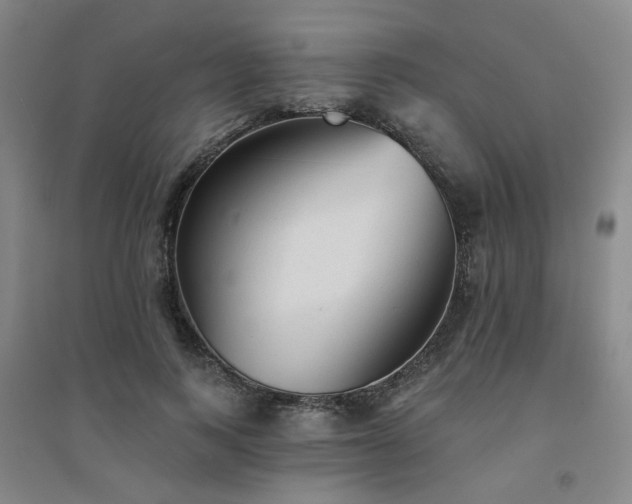 X0000094420743200711151320