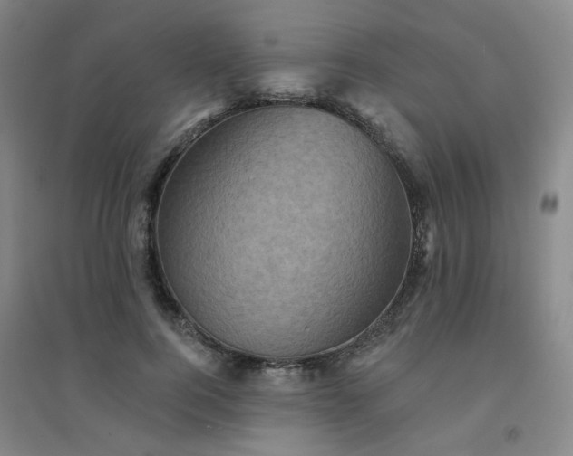 X0000094420744200711151320