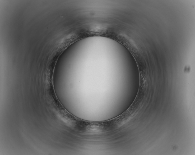 X0000094420745200711151320