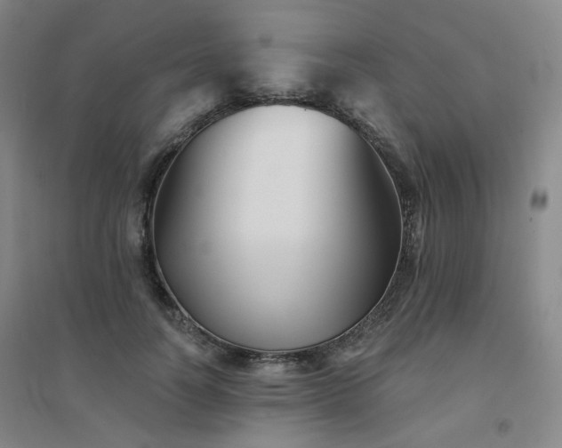 X0000094420746200711151320