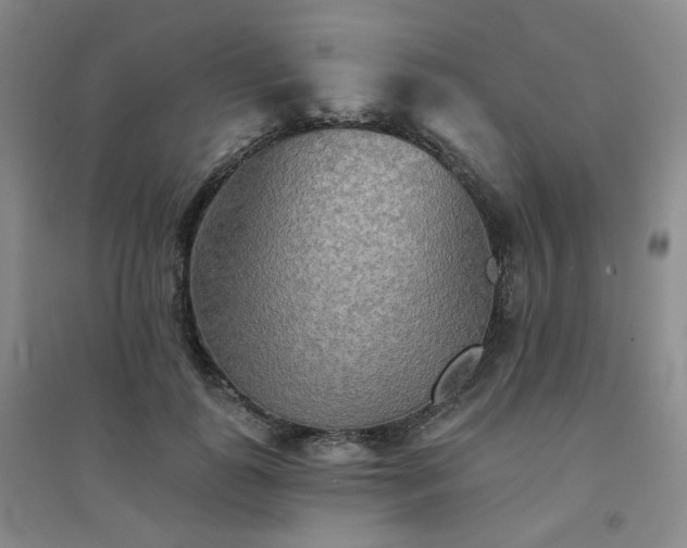 X0000094420747200711151320