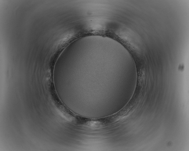 X0000094420748200711151320