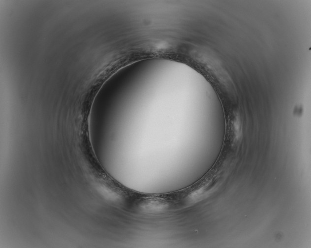 X0000094420750200711151320