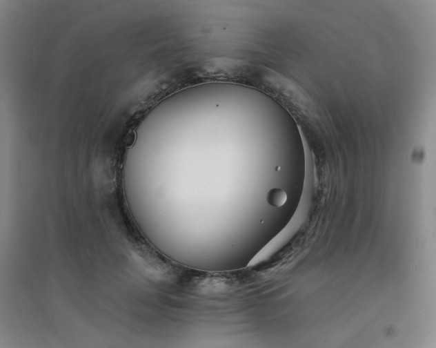 X0000094420751200711151320