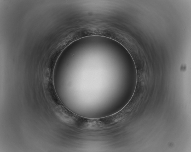 X0000094420752200711151320