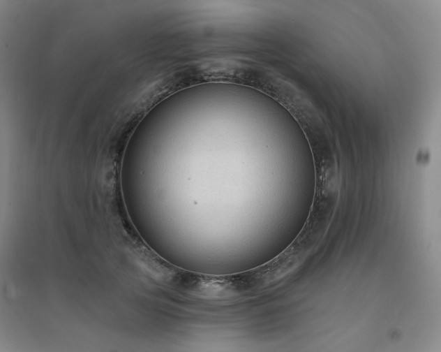 X0000094420753200711151320